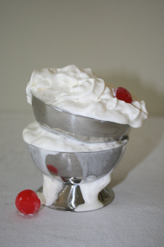 Stainless steel ice cream coupes