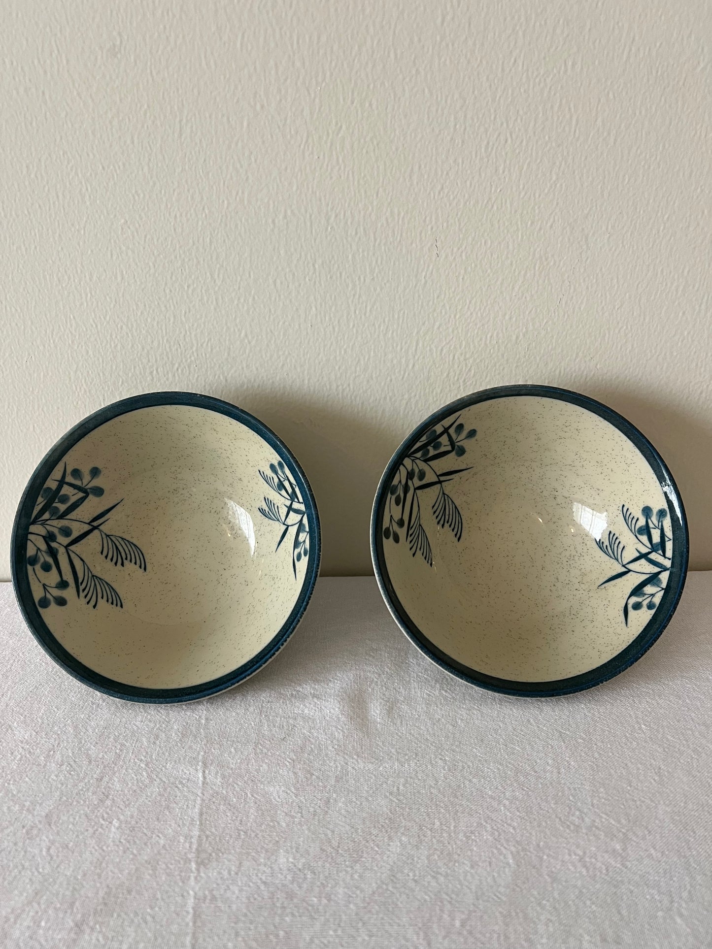 Set of 2 rice bowls
